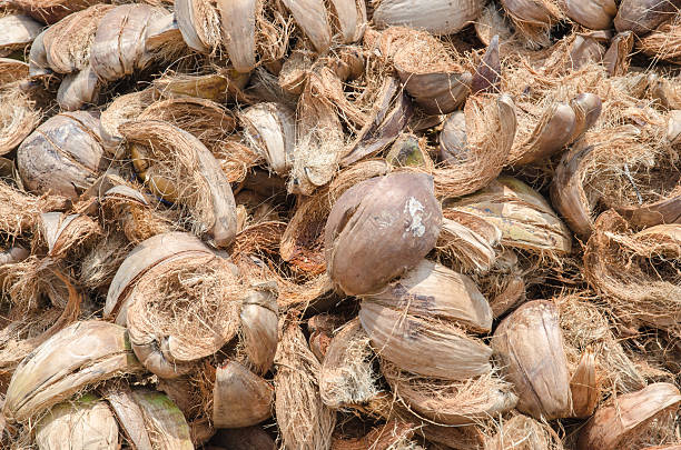 istock pile of coconut husk 482877910