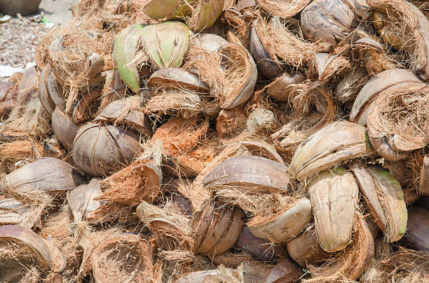 istock pile of coconut husk 482877914
