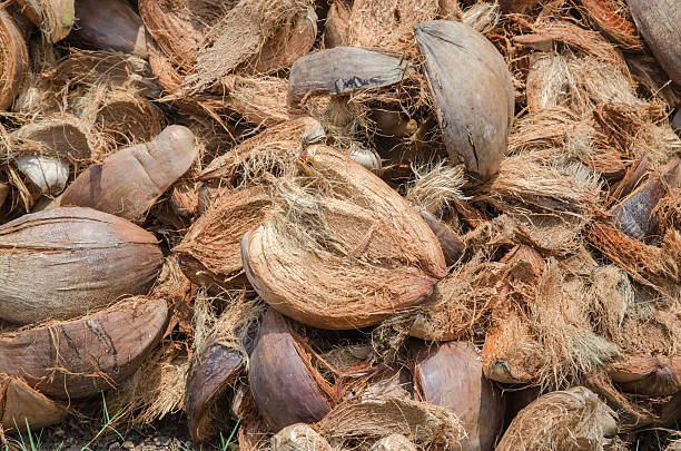 istock pile of coconut husk 482877916