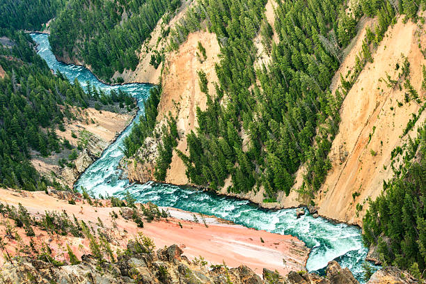 rivière grand canyon of yellowstone - eroded water grand canyon of yellowstone river river photos et images de collection