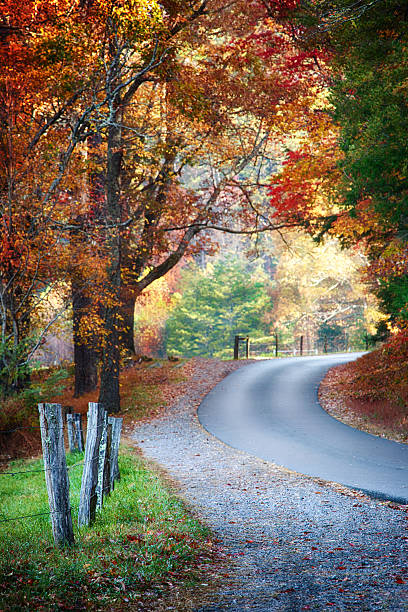 Colorful Autumn road stock photo