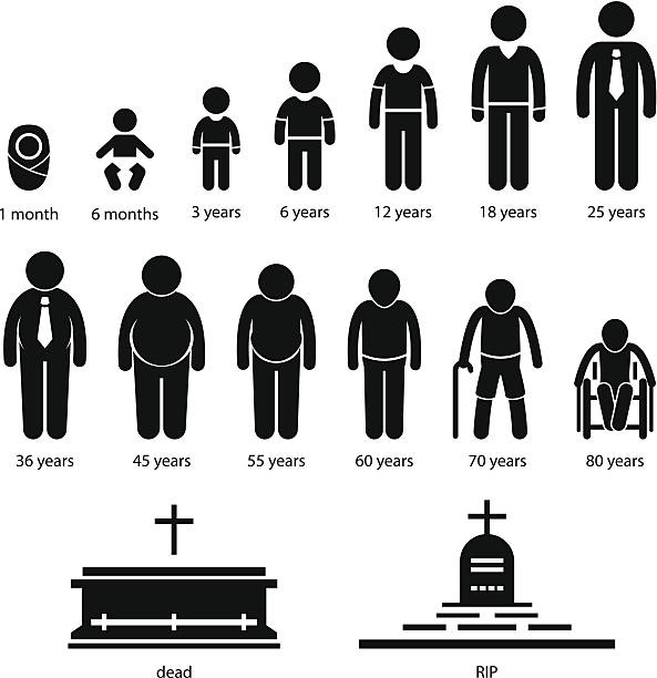 ilustrações, clipart, desenhos animados e ícones de envelhecimento humano homem, crescendo processo pictogram - senior adult silhouette senior men people