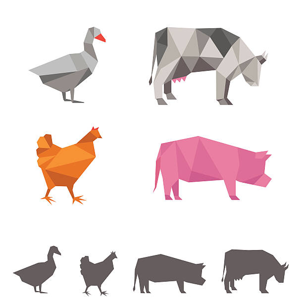 vector farm animals, origami  goose meat illustrations stock illustrations