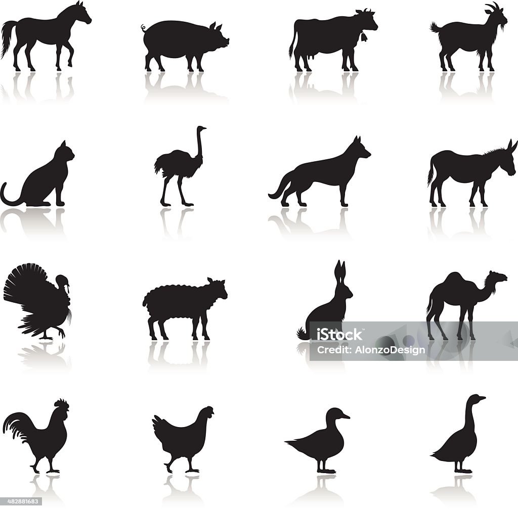 Icon set of farm animals on white background A silhouette of farm animals lined together in a horizontal fashion in four rows.  The animal shadows contrast against the white backdrop.  The animals in the first row are that of a horse, pig, cow and goat.  The second row contains a cat, ostrich, dog and donkey.  A turkey, sheep, rabbit and camel stand in the third row.  The final row has a rooster, hen, duck and goose.  The silhouettes of the animals also reveal their shadows where they stand.  The animals appear to be standing on a glossy surface, with their reflections showing below them. Icon Symbol stock vector