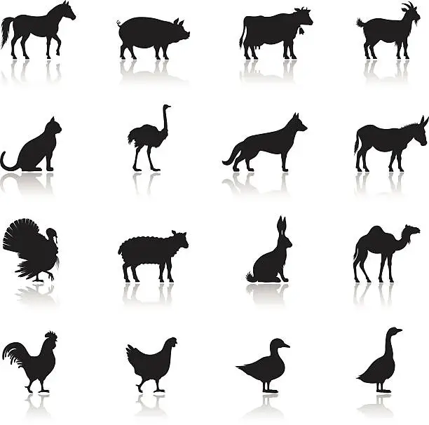 Vector illustration of Icon set of farm animals on white background