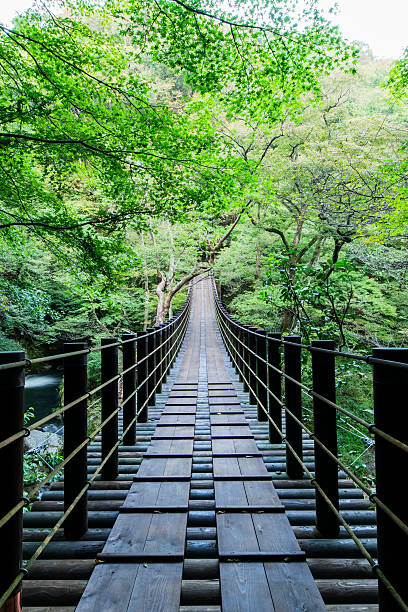 istock Shiomi Falls Suspension Bridge 482882028