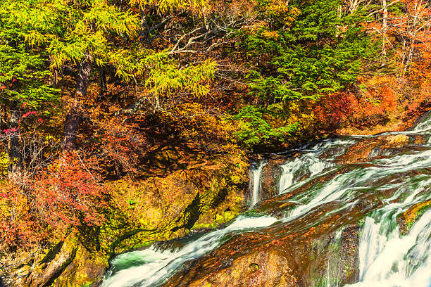 istock Yukawa river in Nikko, autumn 482882170