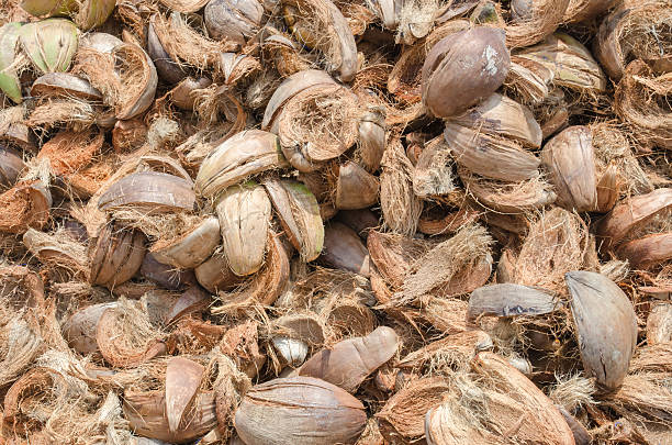 istock pile of coconut husk 482882226