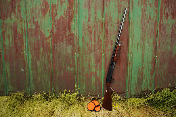 Shotgun and shells stock photo