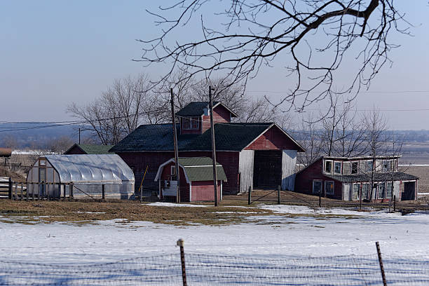 istock Low Barns and Greenhouse 482883403