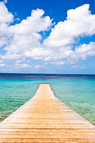 istock Pier in the Caribbean Sea 482884377