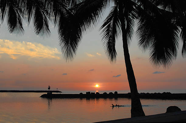 baia al tramonto - silhouette three people beach horizon foto e immagini stock