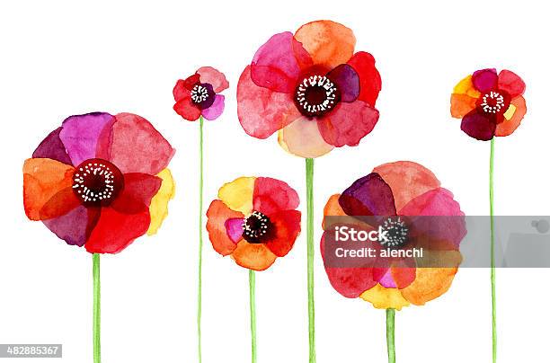 Papaver Rhoeas Pintura De Acuarela Foto de stock y más banco de imágenes de Flor - Flor, Pintura de acuarela, Dibujo