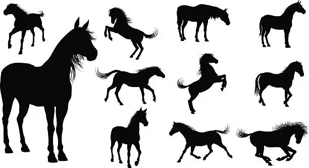 Vector illustration of Silhouette Horses