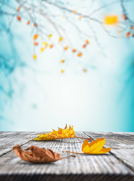 istock Autumn Leaves On Wooden Desk 482891776