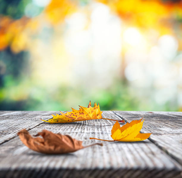 istock Autumn Leaves On Wooden Desk 482891778