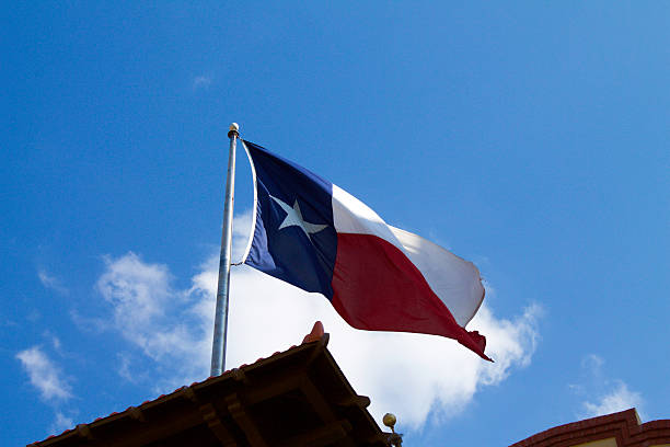 istock Texas Flag Waving in the Wind 482893772