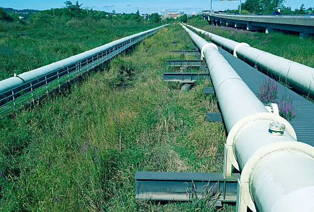 Pipes carrying water through wetlands from mountains near freeway in Everett WA