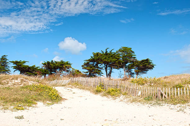 Dunes in the beach on Quiberon, France stock photo
