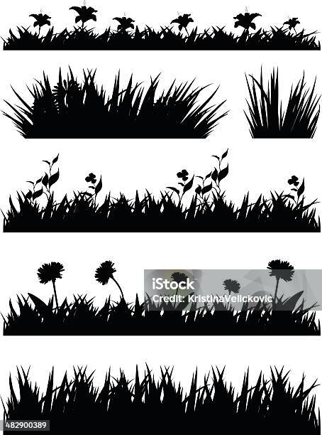 Grass Silhouette Stock Illustration - Download Image Now - In Silhouette, Grass, Flower