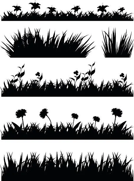 Vector illustration of grass silhouette