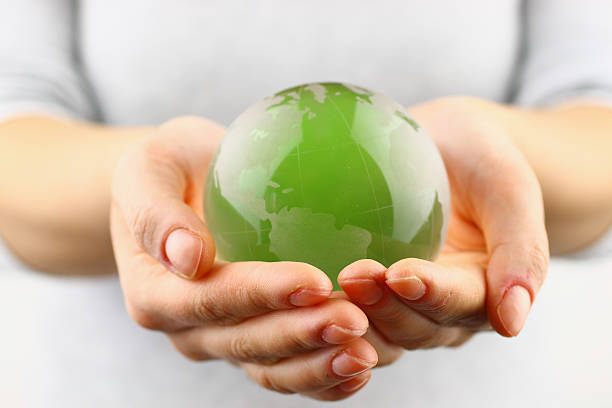 green globe in der hand - business green finance world map stock-fotos und bilder