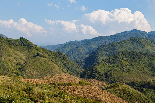 istock Green forest on high mountain in Laos 482901046