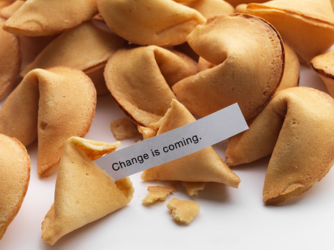 Close-up of fortune cookies with \