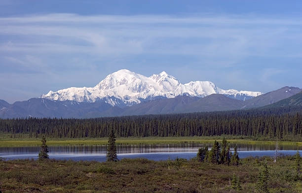 Mount McKinley A clear summertime view of Mount McKinley, looking west from the George Parks Highway in Alaska. denali mountain stock pictures, royalty-free photos & images