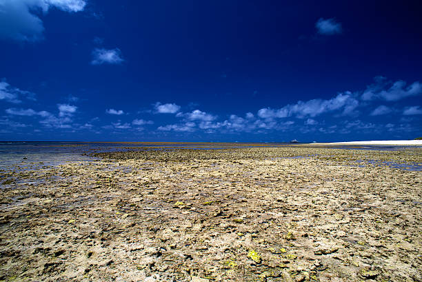 Coral surrounding Lady Musgrave Island, Australia stock photo