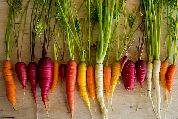 istock Organic Carrots from the Garden 482906349