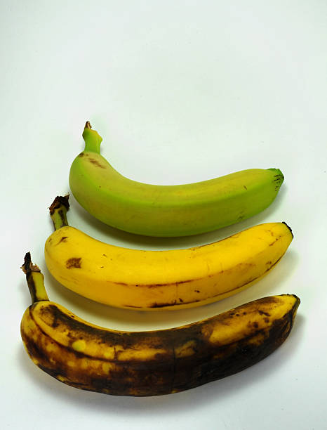Three Bananas stock photo