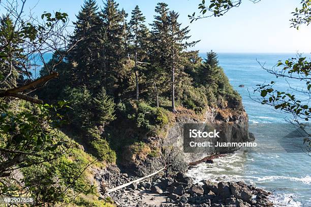 Northern California Coast Stock Photo - Download Image Now - Beach, Coastline, Redwood National Park