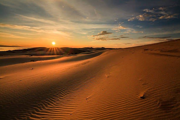 istock Beautiful views of the Gobi desert. Mongolia. 482911698