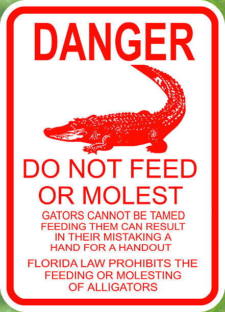 peligro: no alimente alligators señal - molest fotografías e imágenes de stock