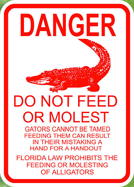 risque de ne pas nourrir les alligators panneau - molest photos et images de collection