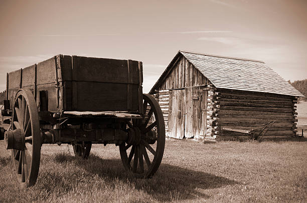 istock Abandoned Old Homestead in Sepia Tone 482922785