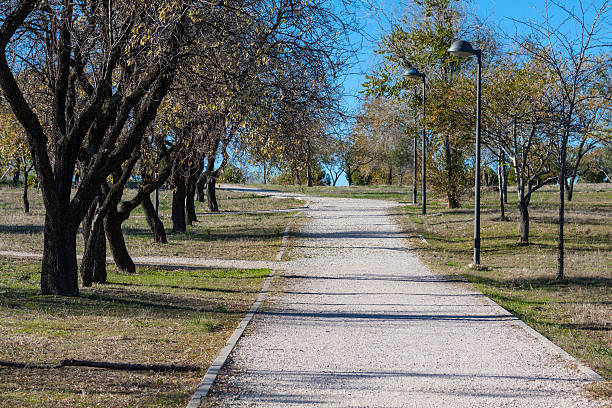 istock Green alley,path in the park getafe,madrid 482924249