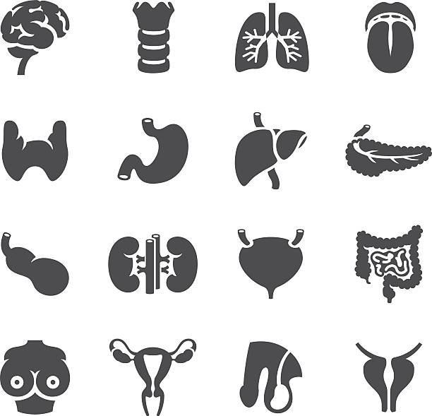 Human Body Icons - Organ cancer types vector art illustration