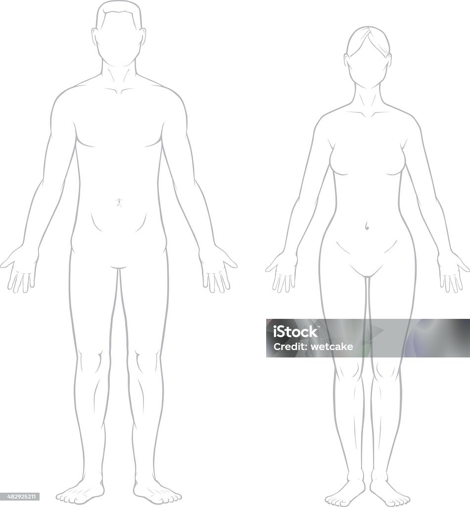 건강한 남성 및 여성 기관 - 로열티 프리 인체 벡터 아트