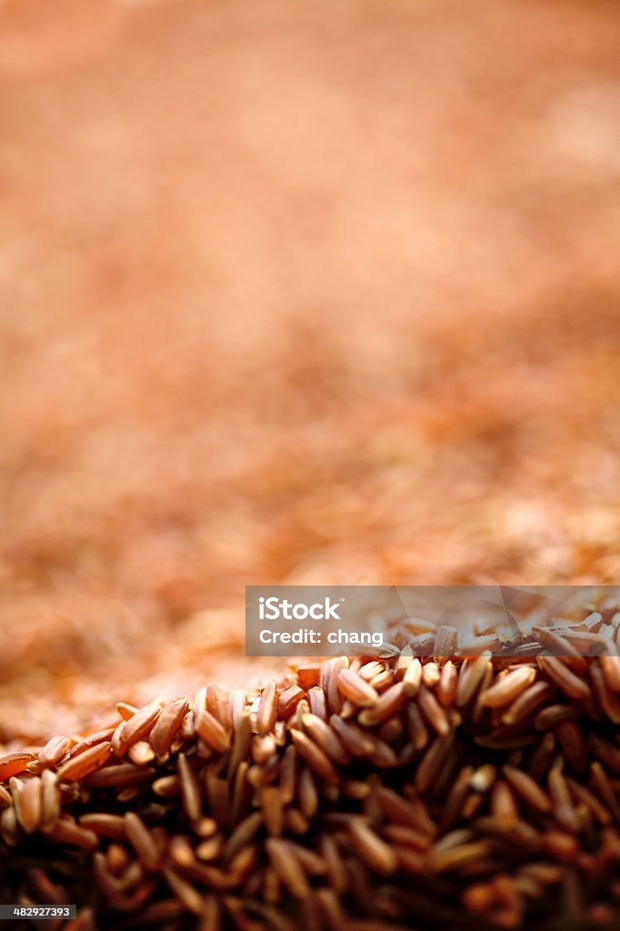 Arroz salvaje - Foto de stock de Alimento libre de derechos