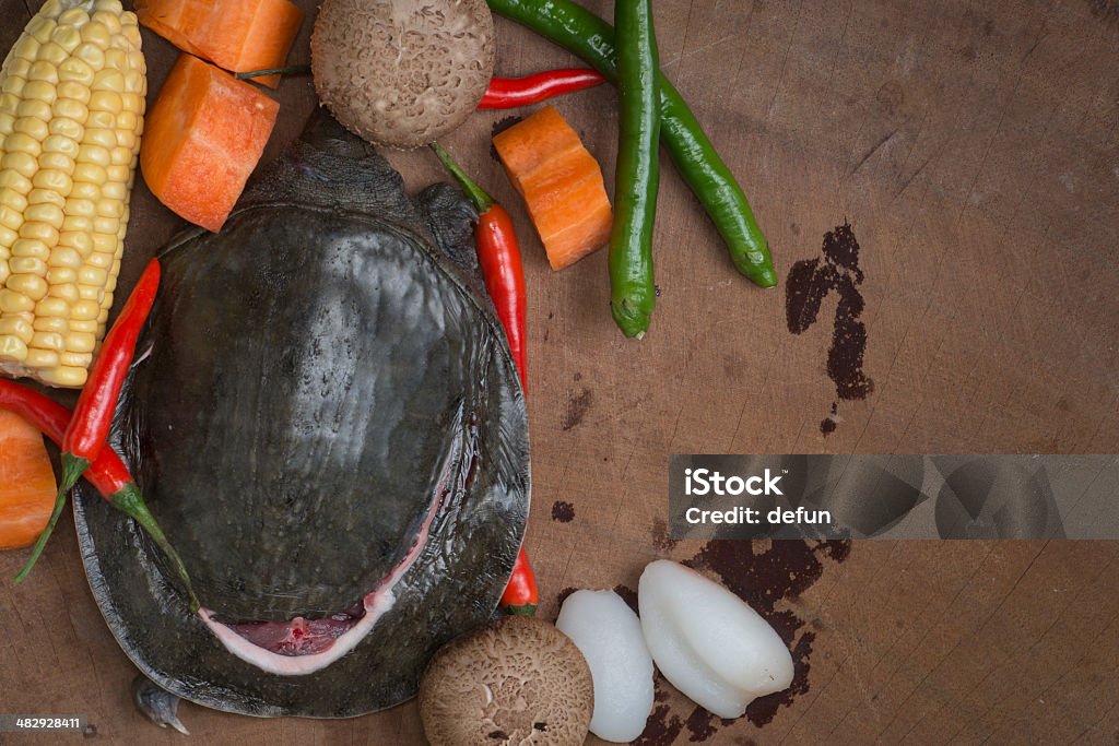 soft-shelled turtle Soft-shelled turtle ingredient. Animal Stock Photo