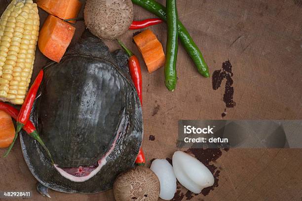 Softshelled Turtle Stock Photo - Download Image Now - Animal, Animal Shell, Cereal Plant