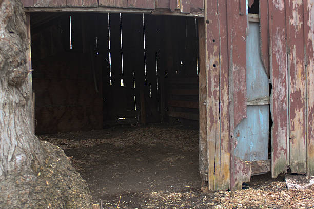 istock Doorway of Barn 482928809