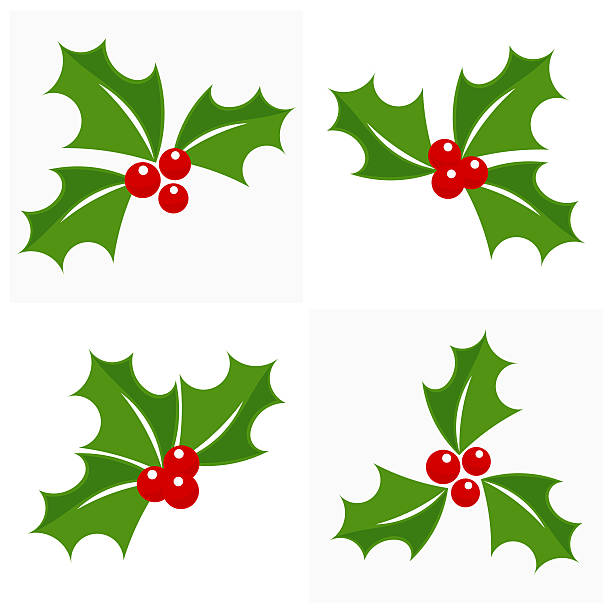 illustrazioni stock, clip art, cartoni animati e icone di tendenza di natale agrifoglio set - mistletoe