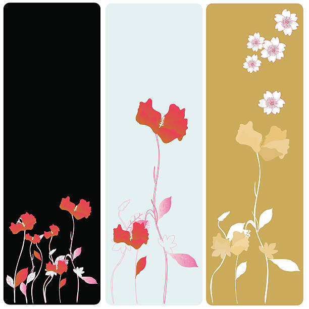Poppies banners vector art illustration