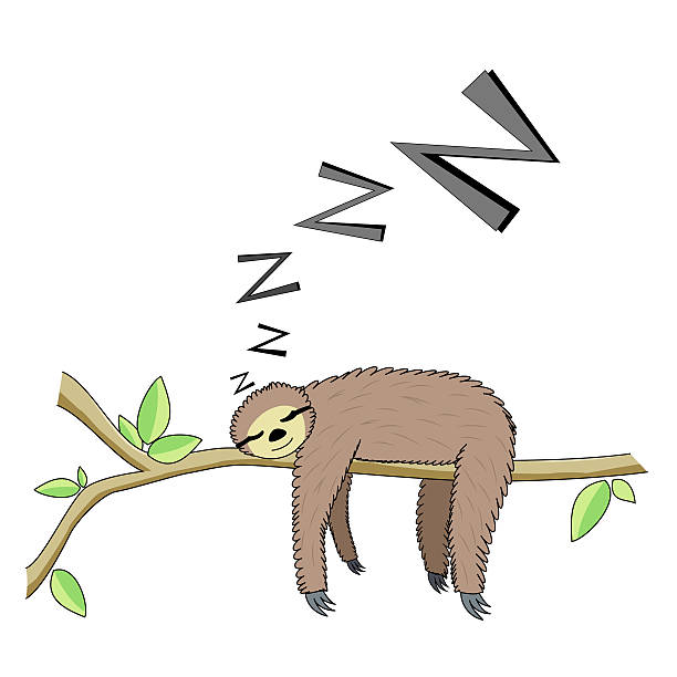 Cartoon Sleeping Sloth Stock Illustration - Download Image Now - 2015,  Animal, Animal Wildlife - iStock