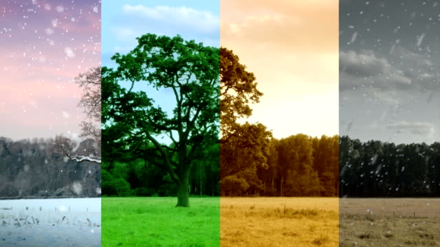 Four Seasons in one shot. HD