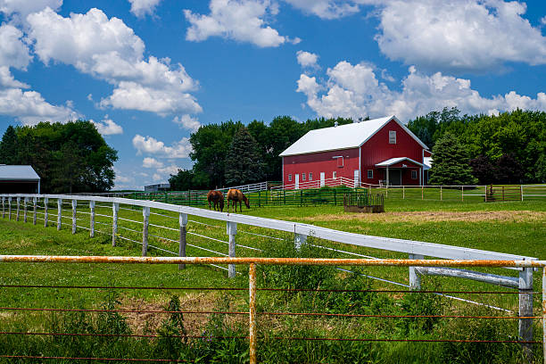istock two horses fenced in, minnesota 482949662