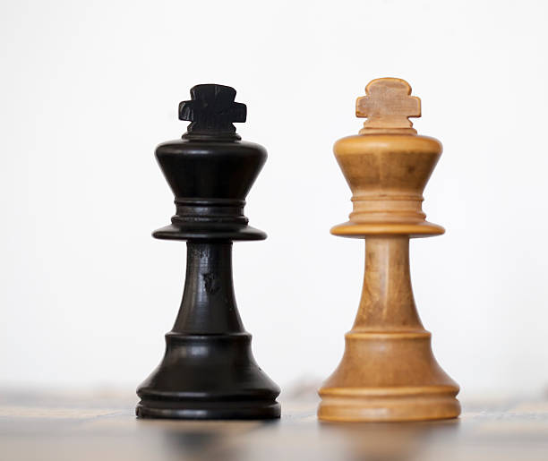 istock Wooden white and black king chess pieces 482950049